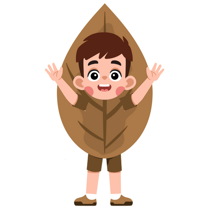 Autumn Collection
